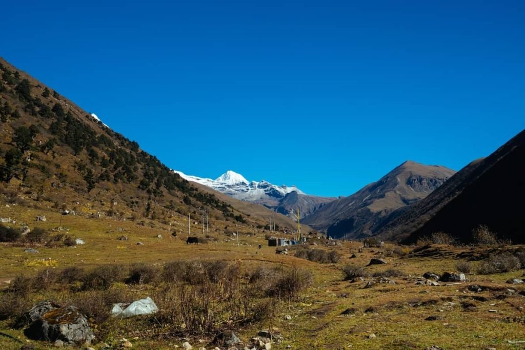 Jomolhari Trek in Bhutan