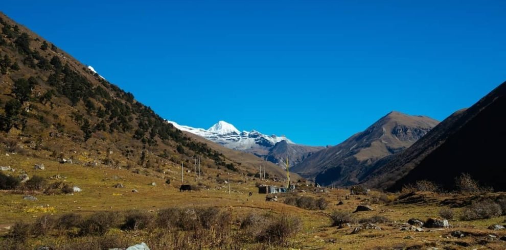 Jomolhari Trek in Bhutan